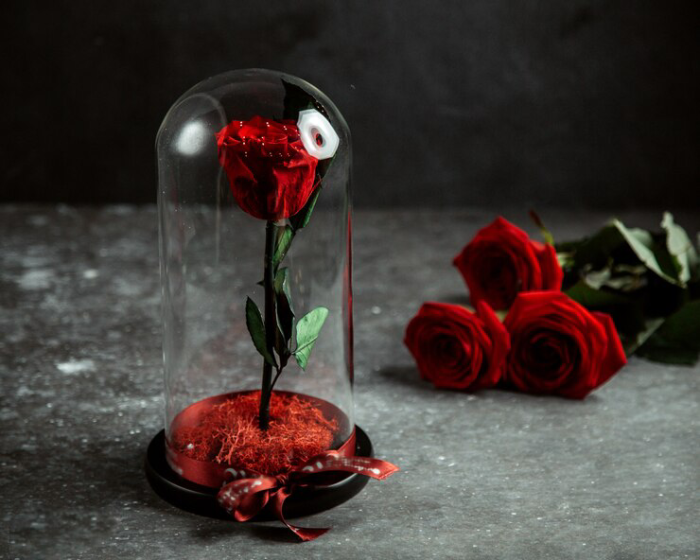Enchanted Rose in Glass Dome as Unique Gifts for Her