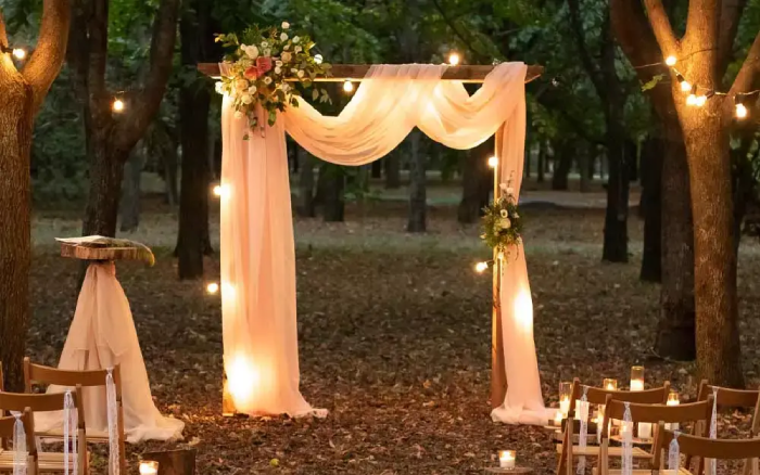 Classy and Luxury Wedding Arch