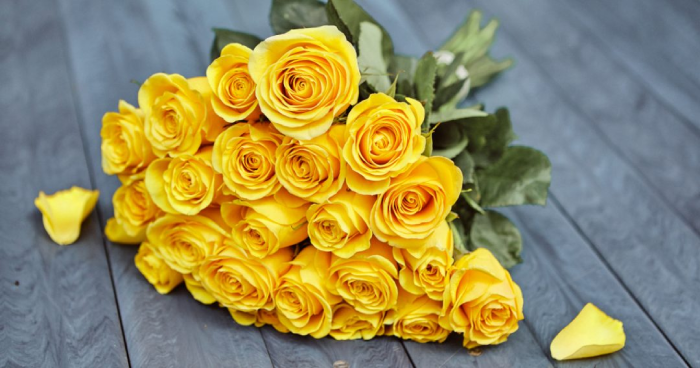 Yellow Rose - Traditional Golden Wedding Anniversary Flower