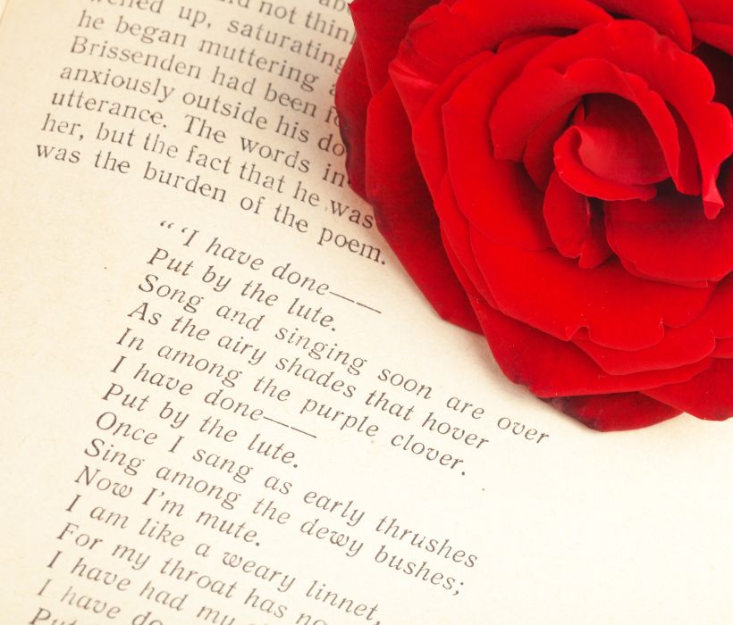 Honoring Her Love and Support with Wedding Anniversary Poem for Wife