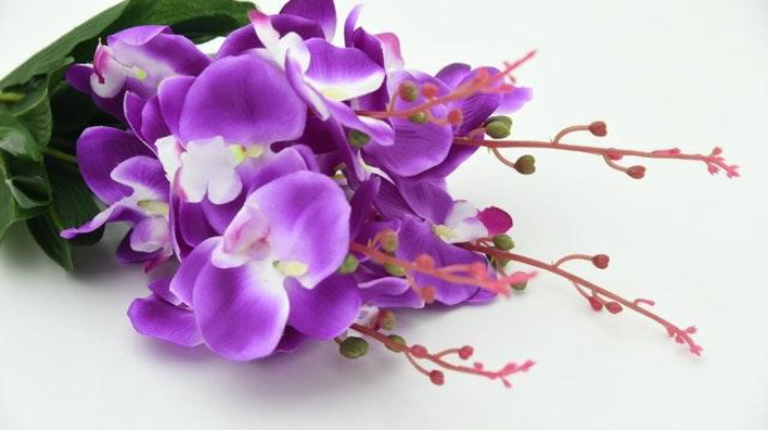 Beautiful Orchids Bouquet For The Anniversary