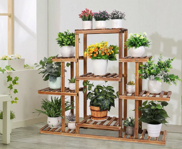Wooden Plant Stand with a Special Plant