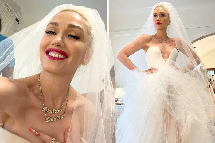Gwen Stefani's Christian Dior Dress